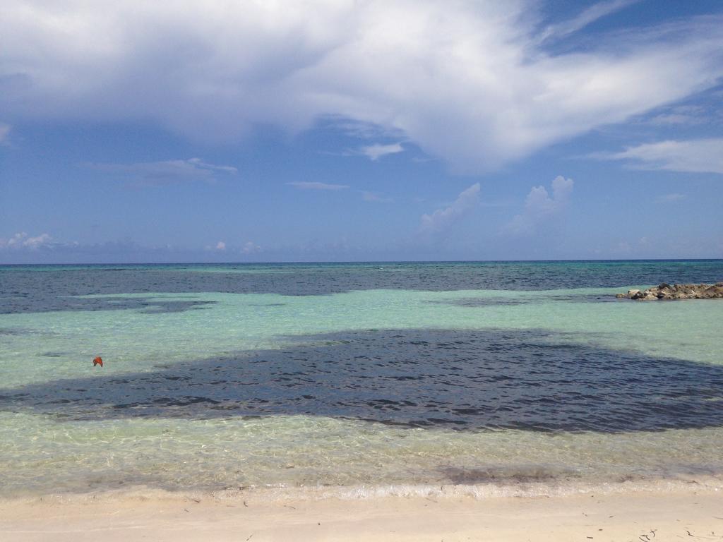 Seacastles By The Beach/Pool Aparthotel Montego Bay Exterior photo